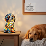 Sam | Čarobna Lampa